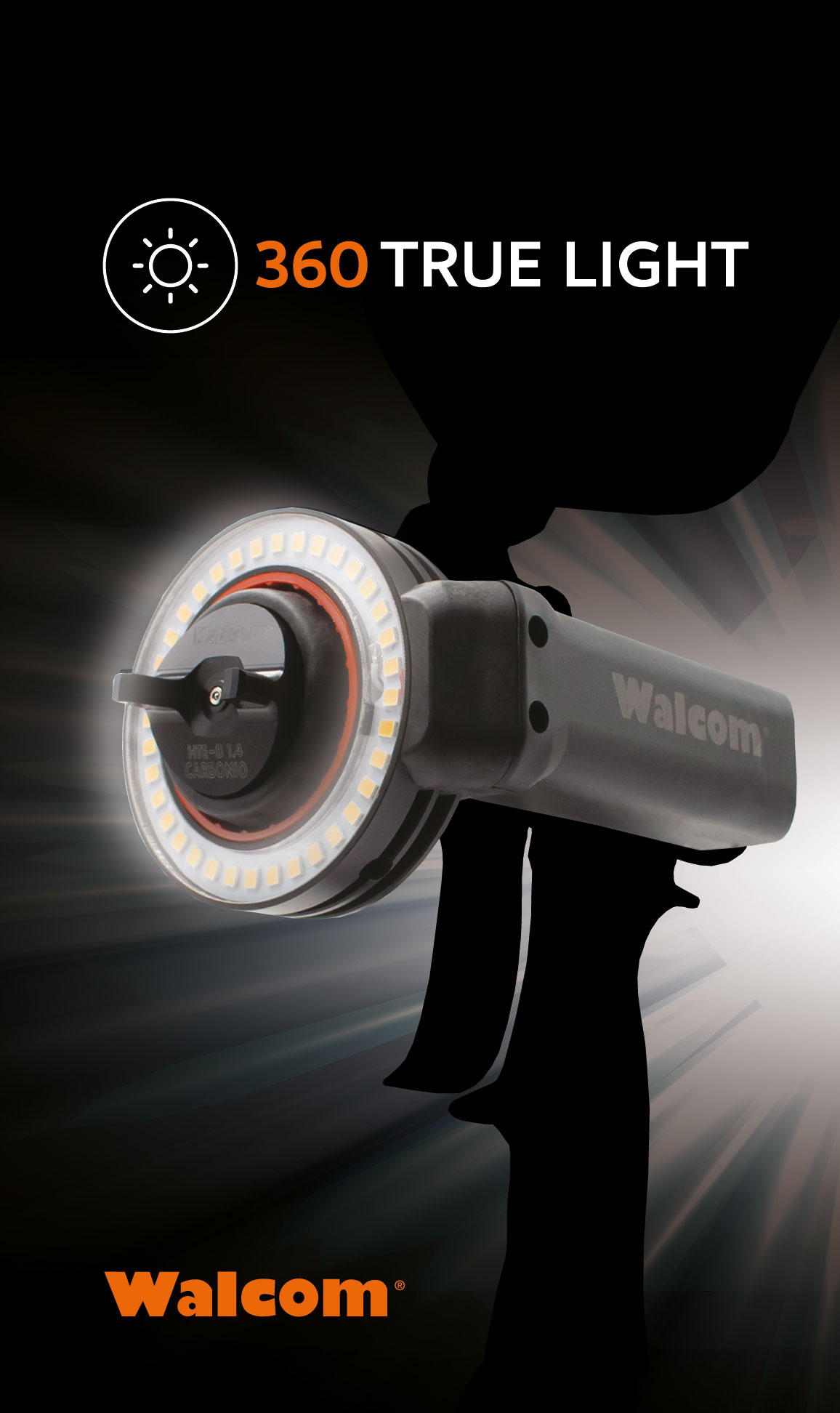 360-true-light-copertina_2 360-true-light-copertina_2